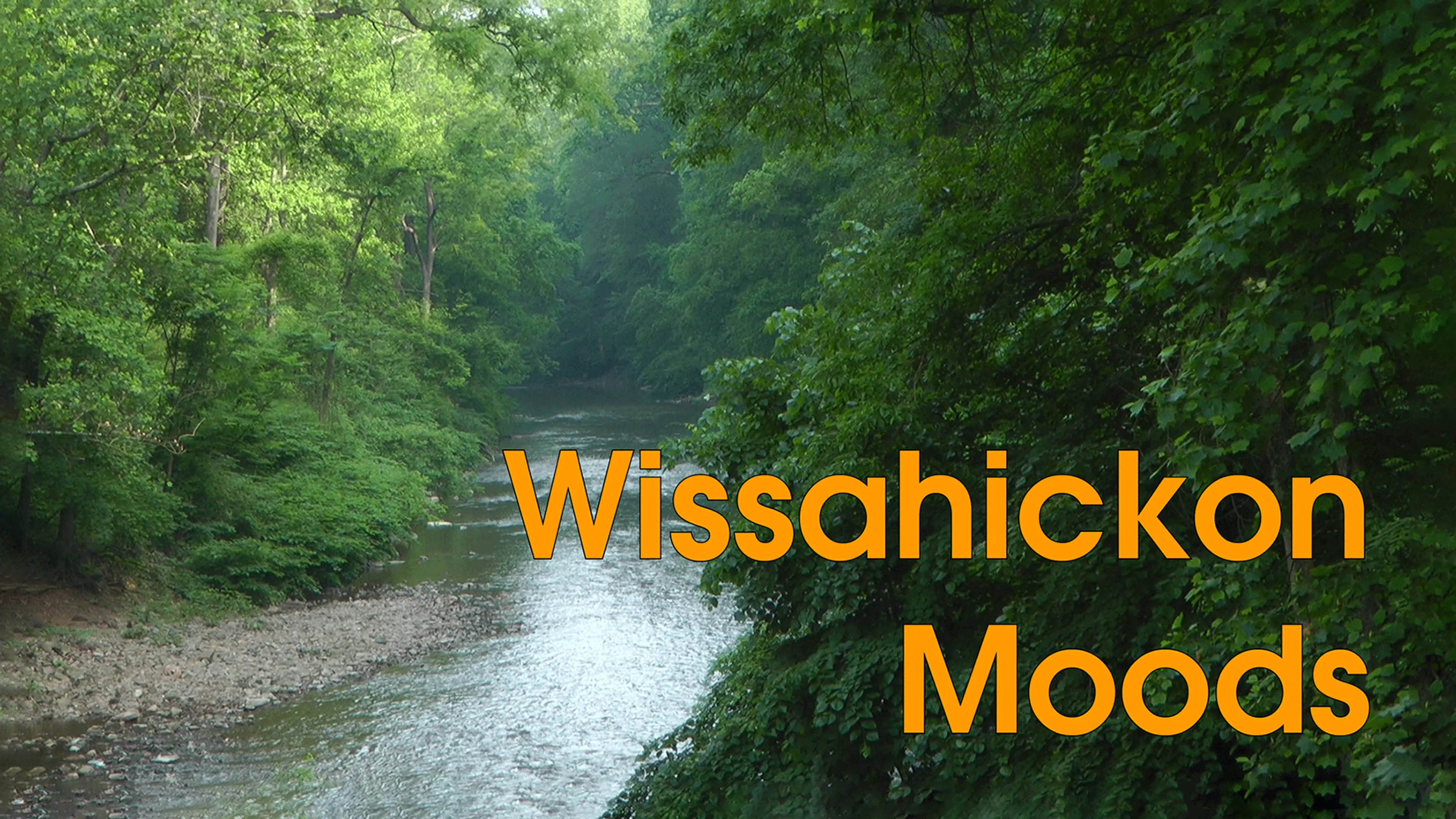 Wissahickon Moods poster